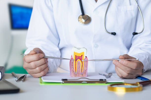Best 24-Hour Emergency Dental Care in Aptos Hills Larkin Valley, CA